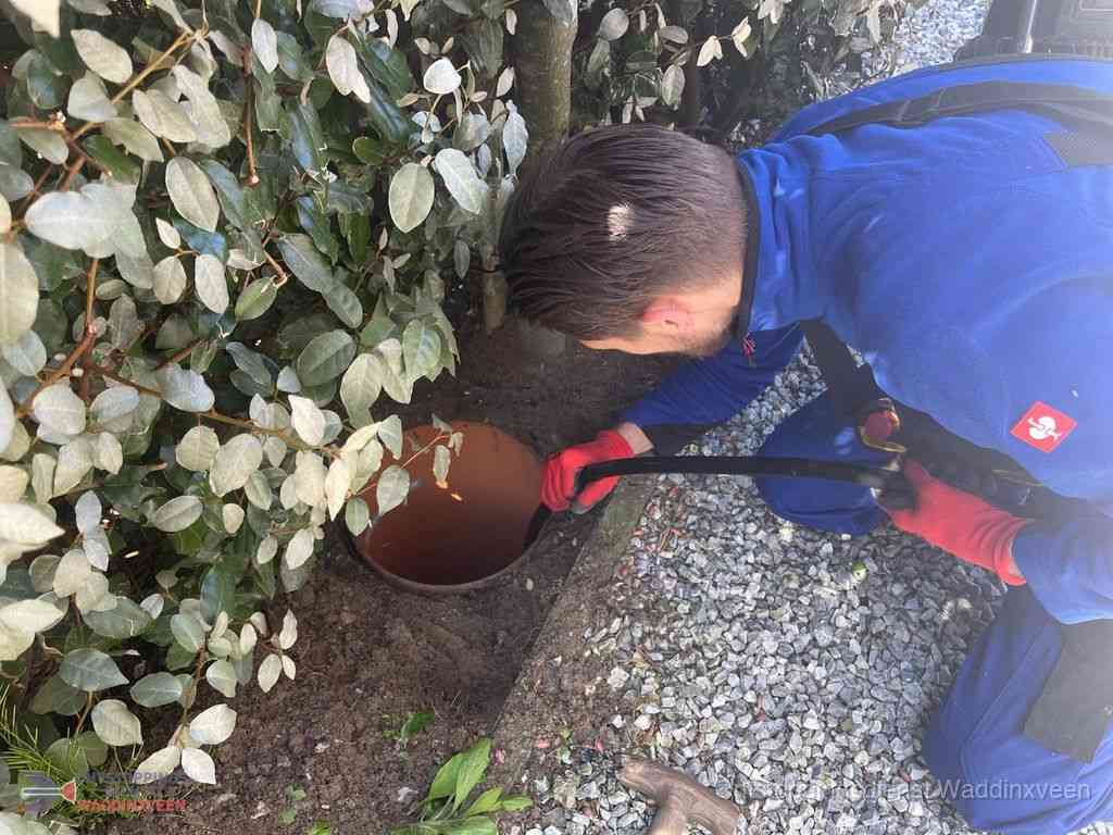 Rioolvliegjes Waddinxveen Rioolvliegjes Waddinxveen